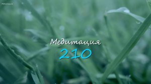 Мягкий дождь на траве: Звуки природы для расслабления и сна
