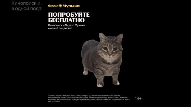 #шутканаднем #смехвголос #приколыютуб #смешныемоменты #шутканашевсё