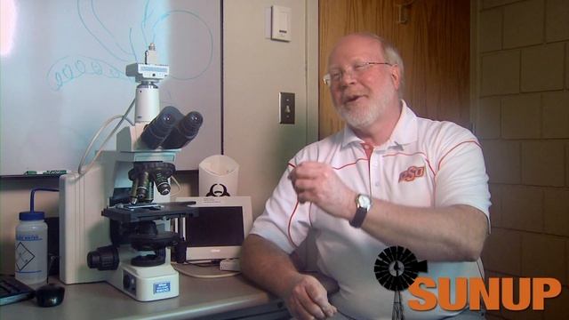 Pathology Lab (7/20/13)