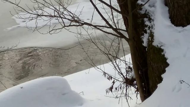 Приехал на буране выбрать место для подсадной,а там норка рыщит. смотреть онлайн