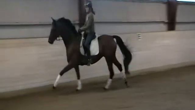 Roselee & Amalie 1. uge sammen. смотреть онлайн