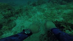 Salvimar One Plus Freediving watch test