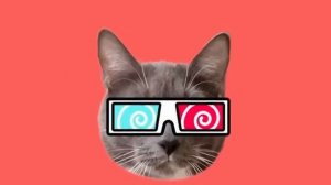 КОТИКИ В ШКОЛЕ ПРАЗДНУЮТ НОВЫЙ ГОД! →
#kotynet