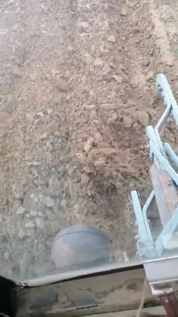 Владимировец Т25 оран смотреть онлайн