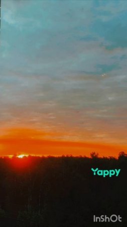 ВОСТОРГАЮСЬ ПРИРОДОЙ, ВИДЕО НАШЕ, МЫ ЕГО ГРУЗИЛИ НА ЯППИ