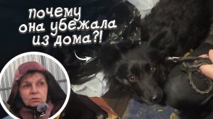 Потеряшка могла замёрзнуть на улице. Смогли ли найтись хозяева?!