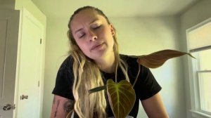 How to Grow a Rare Philodendron El Choco Red Plant