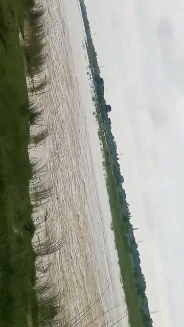 #kuma#r short videos# video # смотреть онлайн