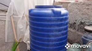 Ер ости лимон 🍋 етиштириш иссикхонаси.Хоразм вилоятида.