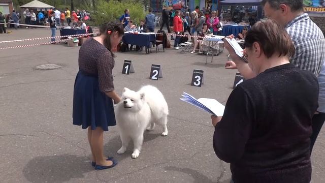 2014-05-10 Шерлок. 1