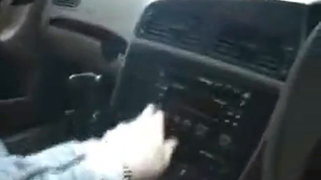 volvo v70 cng at bathcars смотреть онлайн