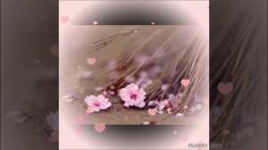Ты такая милая.