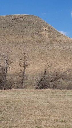 Слакское водохранилище. 20.04.2025 год.