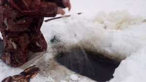 они скрутили мои сети в узел , рыбалка на сети , последняя в этом году всё снимаю...