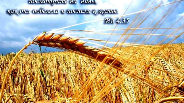 Новые нивы-016 -Радиопередача из ФРГ г.Гуммерсбах-Golos Mira - 32_March_15_2019_21 смотреть онлайн