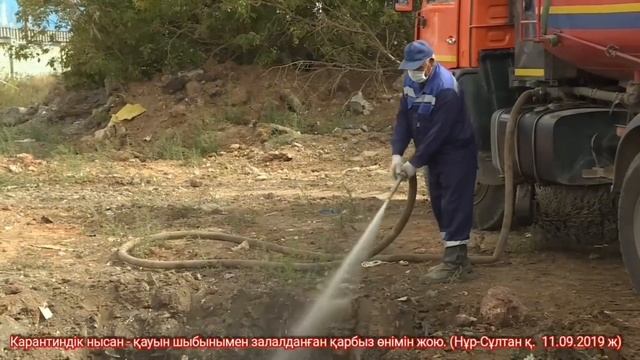 Залалданған өнім - қарбыз «қауын шыбыны»/ Зараженная продукция - арбуз «дынная муха»