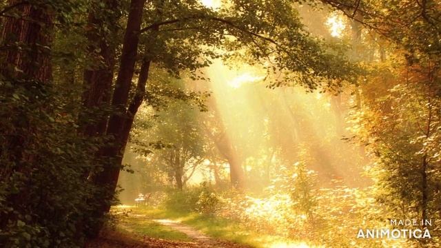 Breath of the Divine - Heart Breathing Meditation to balance, clear and strengthen your energy