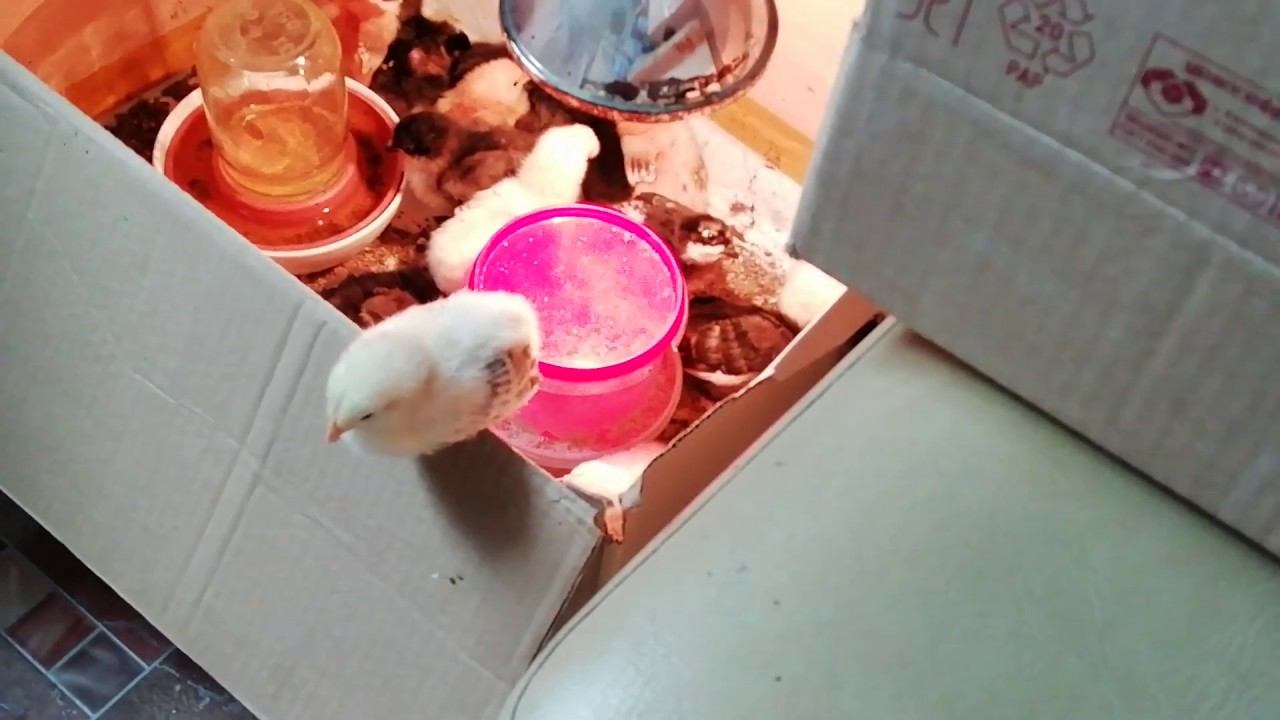 Я не такой как все ))) смотреть онлайн