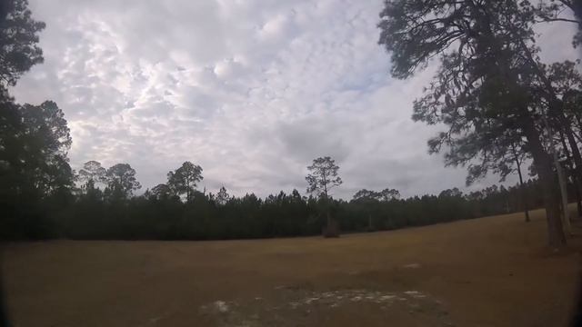 Diatone ROMA F5  CLICK BAIT TEAM MAMBA