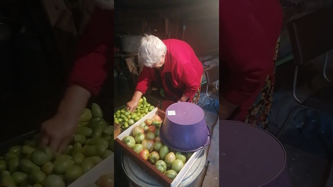 деревня