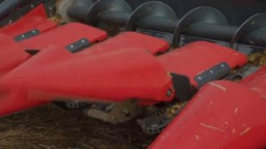 Кукурузная жатка CAPELLO DIAMANT