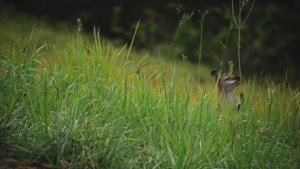 4_Гормоны и сексуальное здоровье,_Барбара Онил