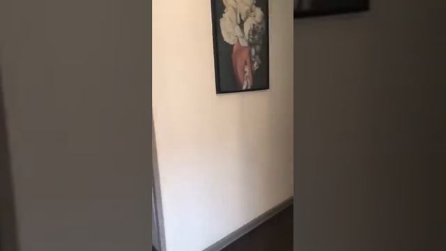 Как пройти в магазин Чистоман (новый адрес) смотреть онлайн