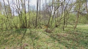 Экотропа "Святые Криницы" и окрестности