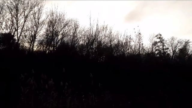 В поисках осеннего вальдшнепа. Начало смотреть онлайн