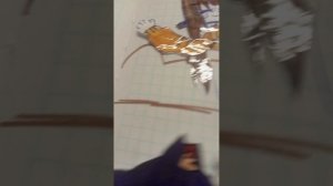 школа мини фильм чеееек