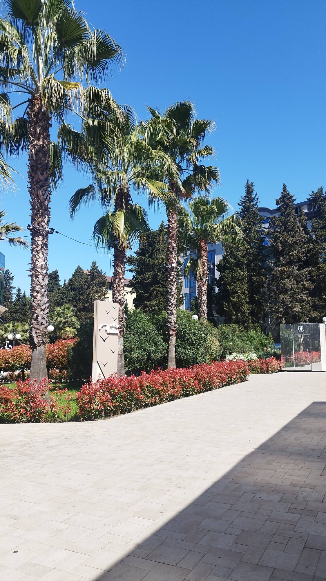 Один день в Сочи Чёрное море смотреть онлайн