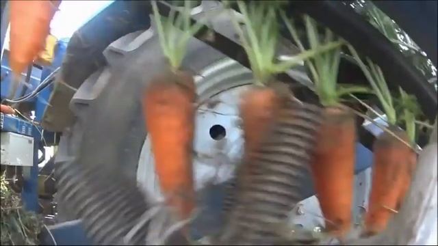 Комбайн морковоуборочный CM 1000 C Bag смотреть онлайн