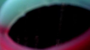 5 ночей с муркой