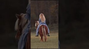 Мы пойдём с конём по полю вдвоём 🐎