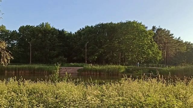 Мини сюжеты о Санкт-Петербурге...