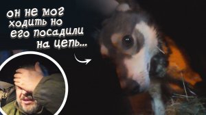 Он еле ползал, но его всё равно посадили на цепь...