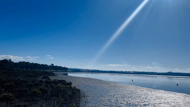 Hastings Foreshore View/Pelican Park смотреть онлайн