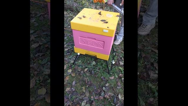 1 ноября 2023 г. смотреть онлайн