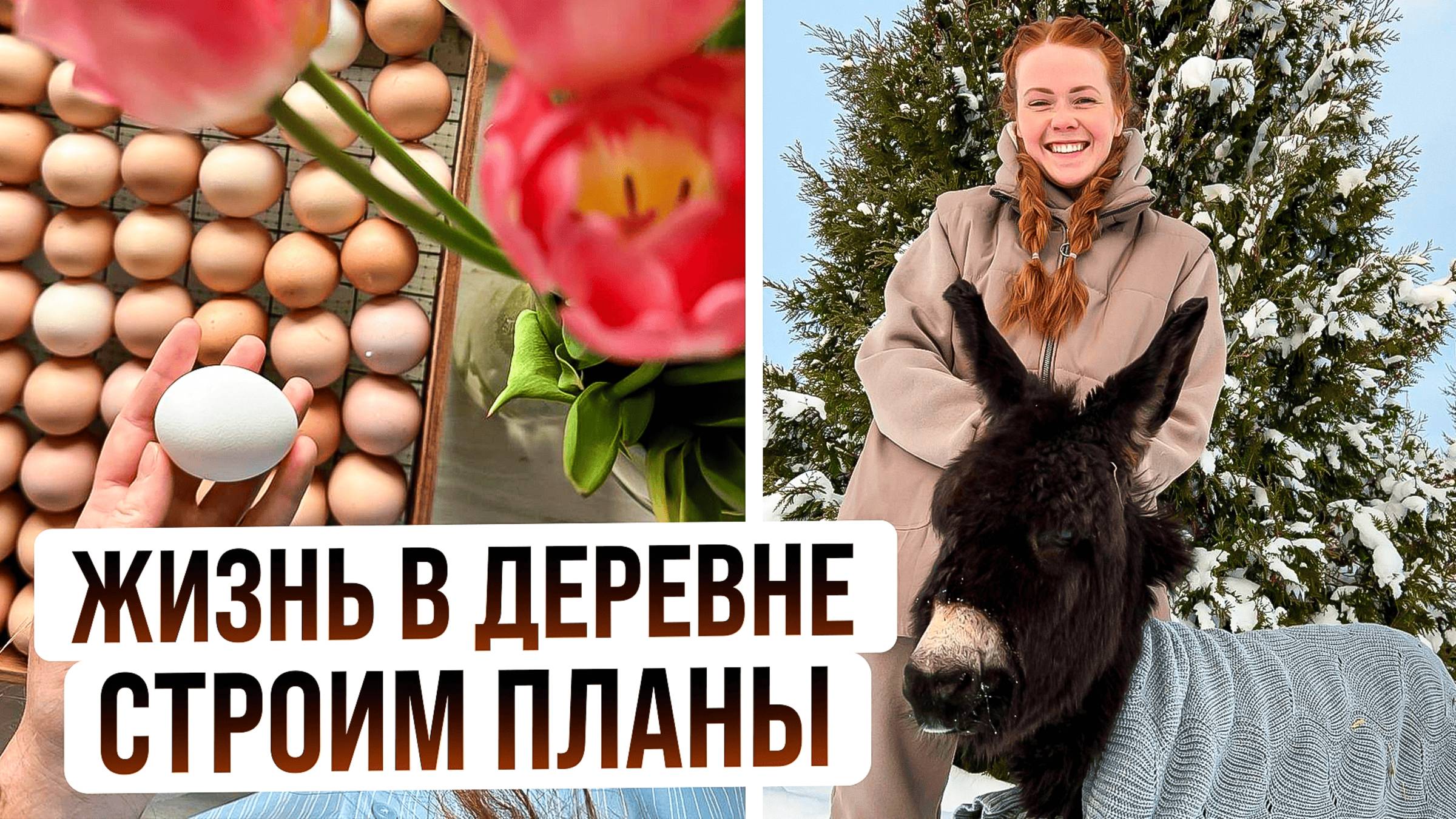 РЫЖИЙ ФЕРМЕР О ПЛАНАХ НА ЖИЗНЬ И ДАЧНЫЙ СЕЗОН