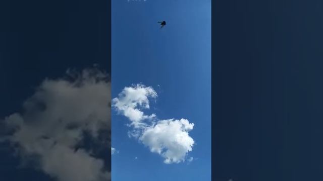 12 июня 2022 г. смотреть онлайн