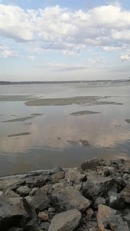 Бердск. Весна. Под мостом.
