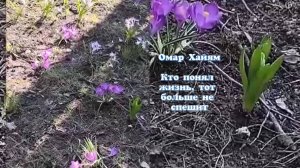 Кто понял жизнь, тот больше не спешит.