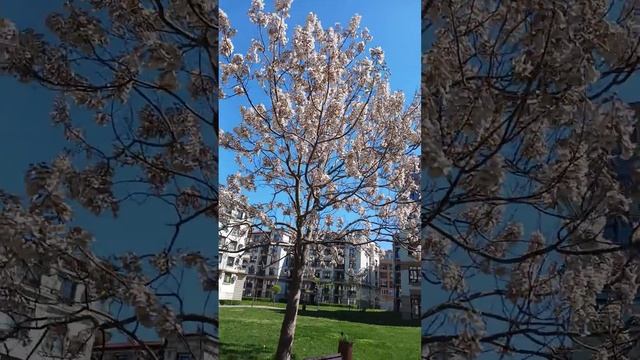 7 мая 2024 г. смотреть онлайн