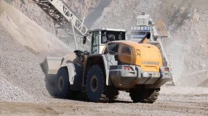 Liebherr 586 XPower