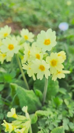 Вести из сада 21.04.2025г.
