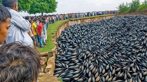 Случаи в Природе Один на Миллион