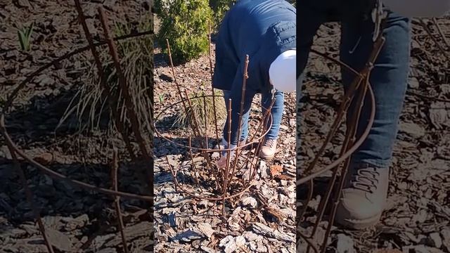 10 апреля 2024 г. смотреть онлайн