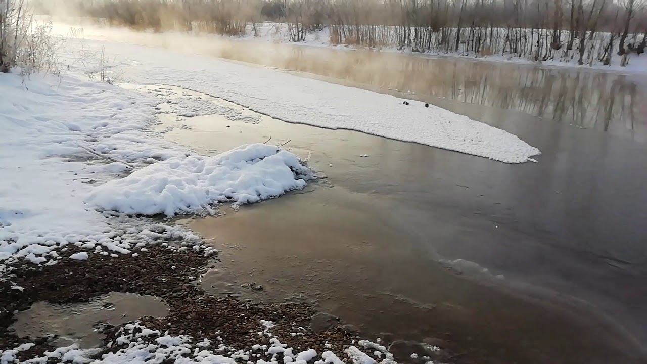 Воскресного утра, а мы у реки! 15.12.2019 смотреть онлайн