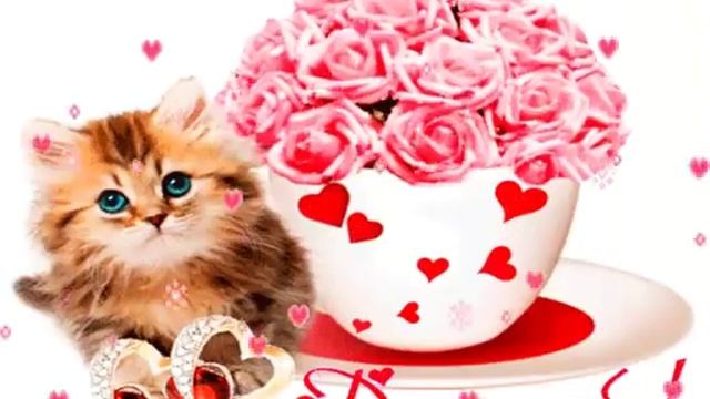 Люблю вас смотреть онлайн