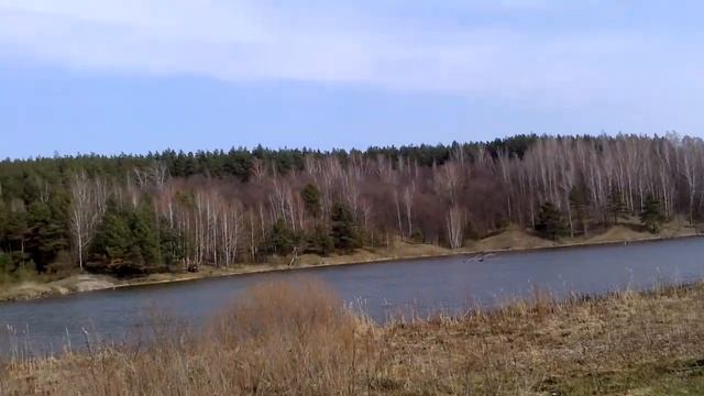 Клёвая поездка смотреть онлайн